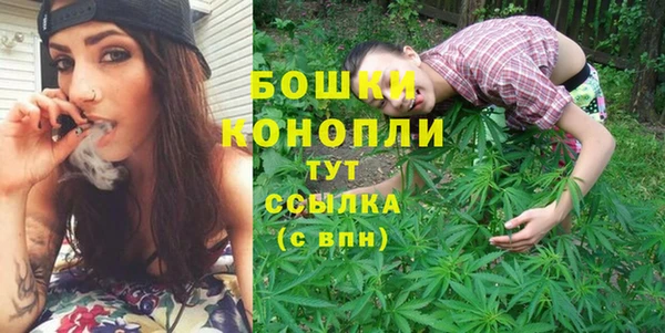 ECSTASY Белокуриха
